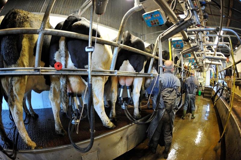 Dairy farmers facing €65m hit from milk price cuts Due to Convid-19 Crisis