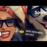 Snapchat launches music-powered feature “Sounds” to rival TikTok