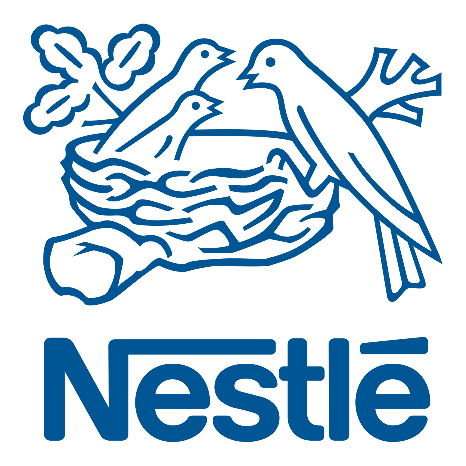 Nestlé Nigeria appoints Rukevwe Toka…