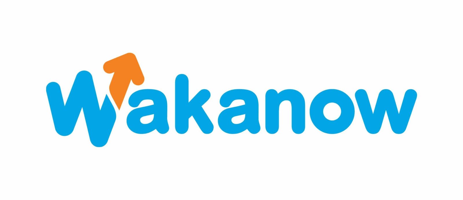 Wakanow Group Appoints Adenike Macaulay As Chief Executive&hellip;