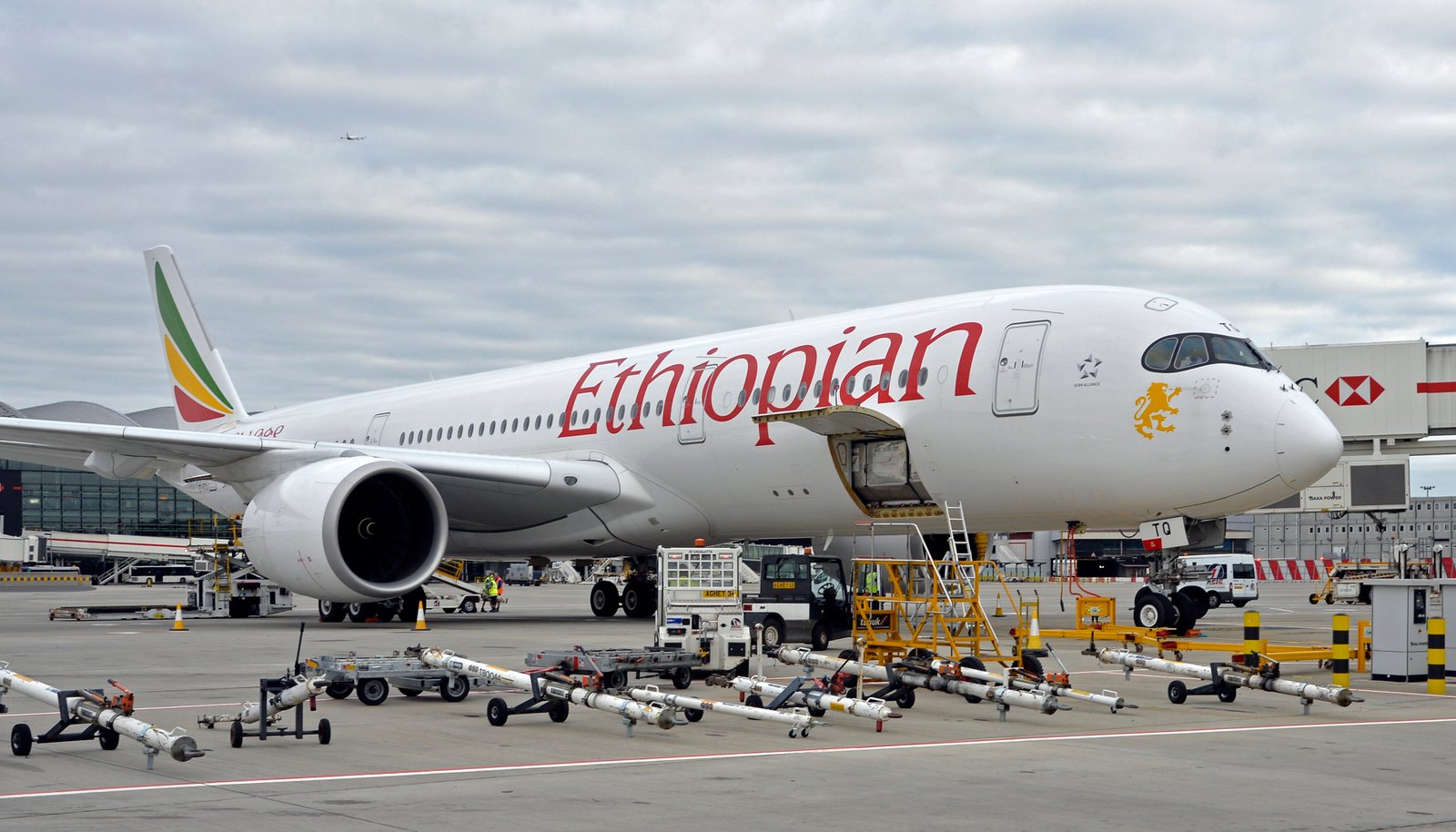 Addis Ababa: Ethiopian Airlines marks…