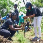 Ghana: Johnnie Walker plants 1,111 seedlings to mark Green Ghana Day