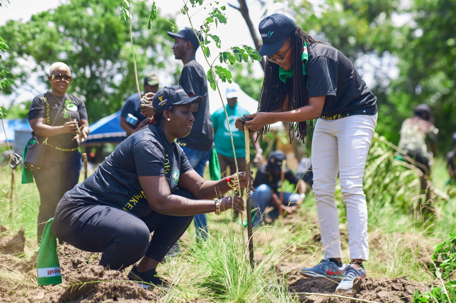 Ghana: Johnnie Walker plants 1,111 seedlings to mark&hellip;