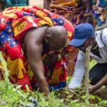 Ghana: Pernod Ricard Ghana’s planting of 10,000 trees begins at Moree