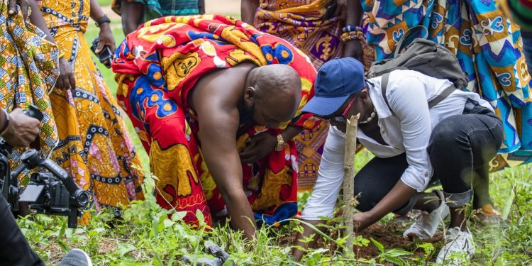 Ghana: Pernod Ricard Ghana’s planting…