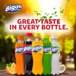 Ghana: Twellium Ghana Ltd Welcomes Stonebwoy as Brand Ambassador for Bigoo Drinks