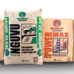 Kenya’s Concrete Titans: Unveiling the Top 4 Cement Manufacturers Shaping the Nation’s Infrastructure Landscape