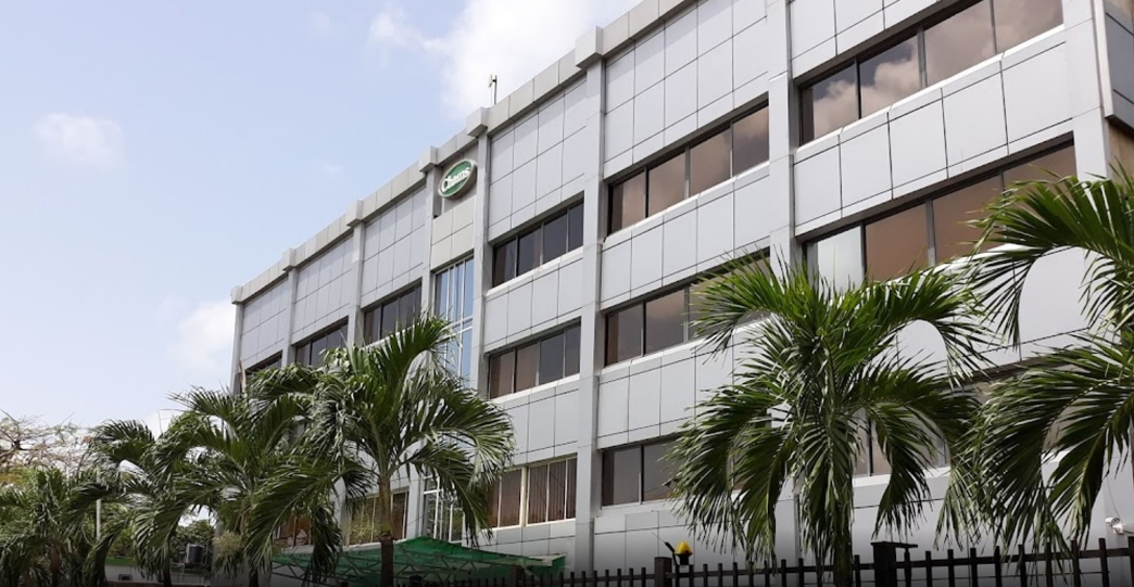 Chams Holding reports 218% profit increase in 2024